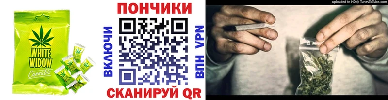 Canna-Cookies марихуана  где найти   блэк спрут вход  Жуковка 