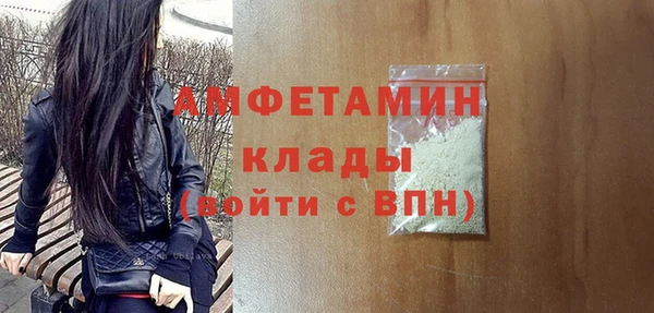 прущие грибы Горняк