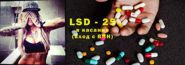 прущие грибы Горняк