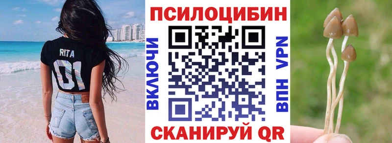 Галлюциногенные грибы Magic Shrooms  наркошоп  Жуковка 